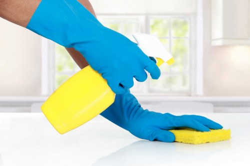 Professional carpet cleaning service procedure