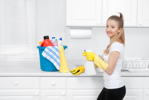 Clean fresh home after pet stain odour removal service