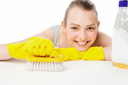 Upholstery care for different sofa materials in Bayswater