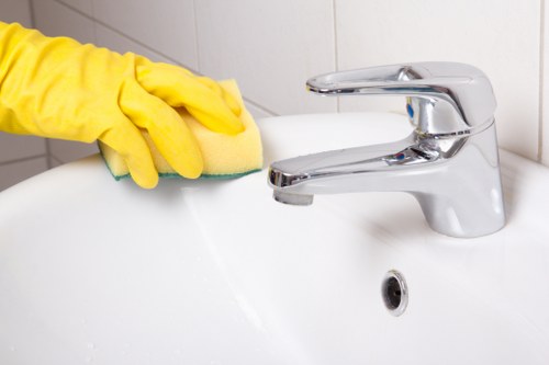Deep cleaning a pet stain on upholstery for odour removal