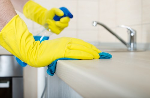 Professional stain removal for rugs and sofas in Bayswater