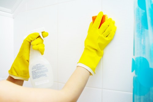 User controls for managing cookie preferences on the Bayswater Carpet Cleaning website