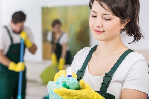 Detailed mattress cleaning process for Bayswater homes