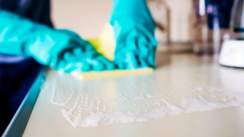 Responsible Bayswater carpet cleaning with human rights commitment