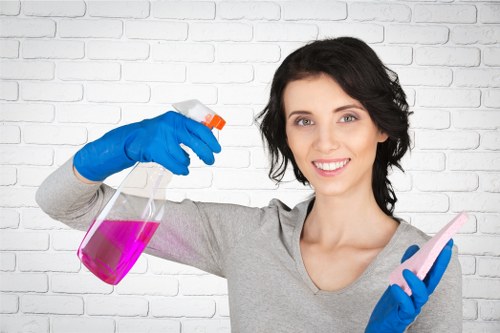 Bayswater carpet deep cleaning removing stains and odours