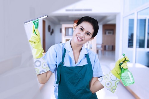 Professional hot water extraction carpet cleaning in Bayswater